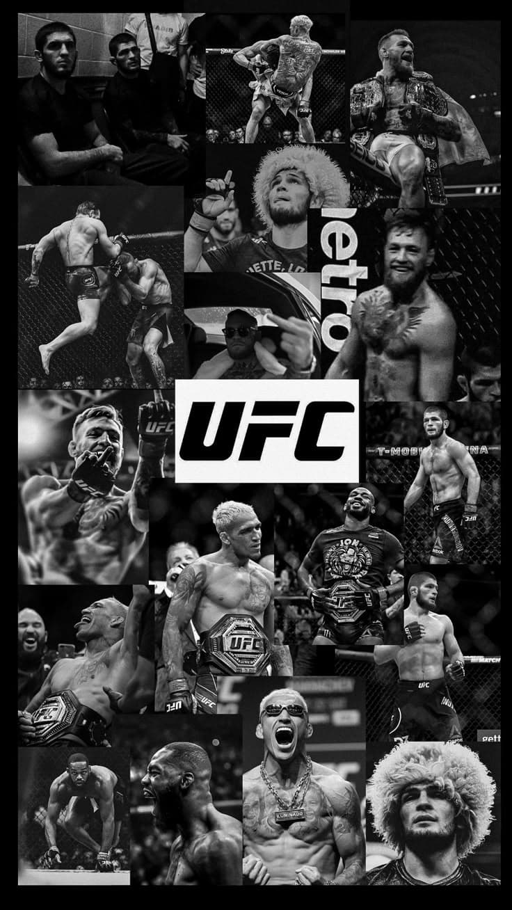 UFC Fight Night